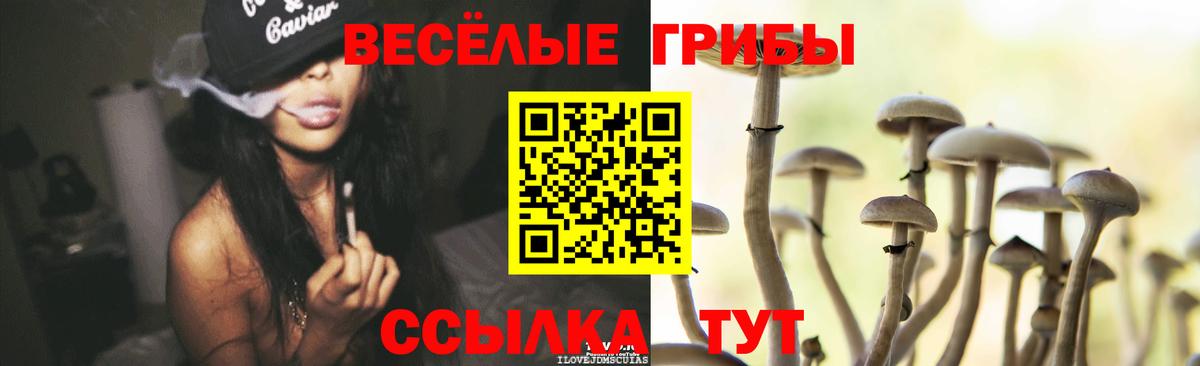 Галлюциногенные грибы Magic Shrooms  Вход с VPN  Псилоцибиновые грибы Psilocybine cubensis  Чапаевск 